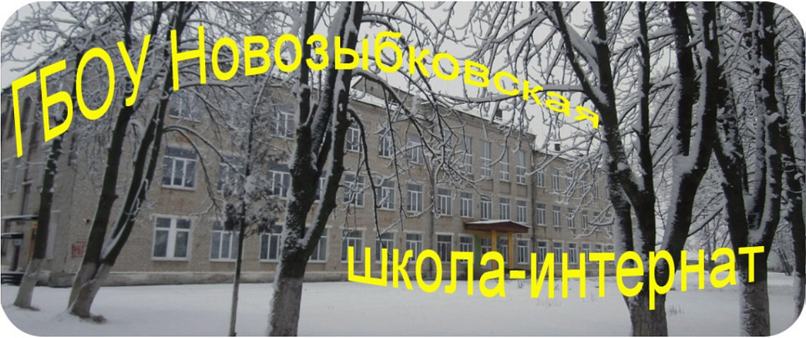 ГБОУ «Новозыбковская школа — интернат»